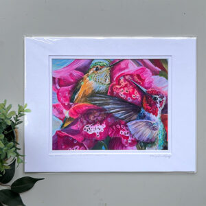 Rufous Hummingbird Print
